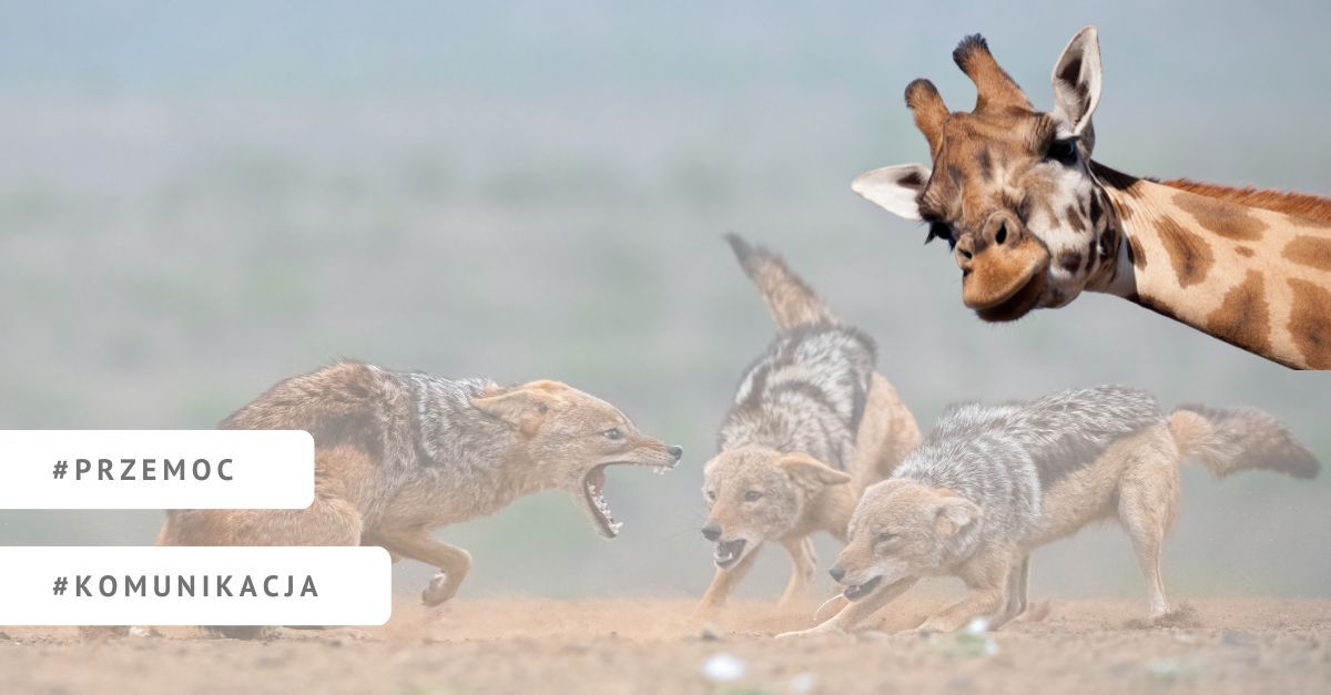 NVC, komunikacja bez przemocy