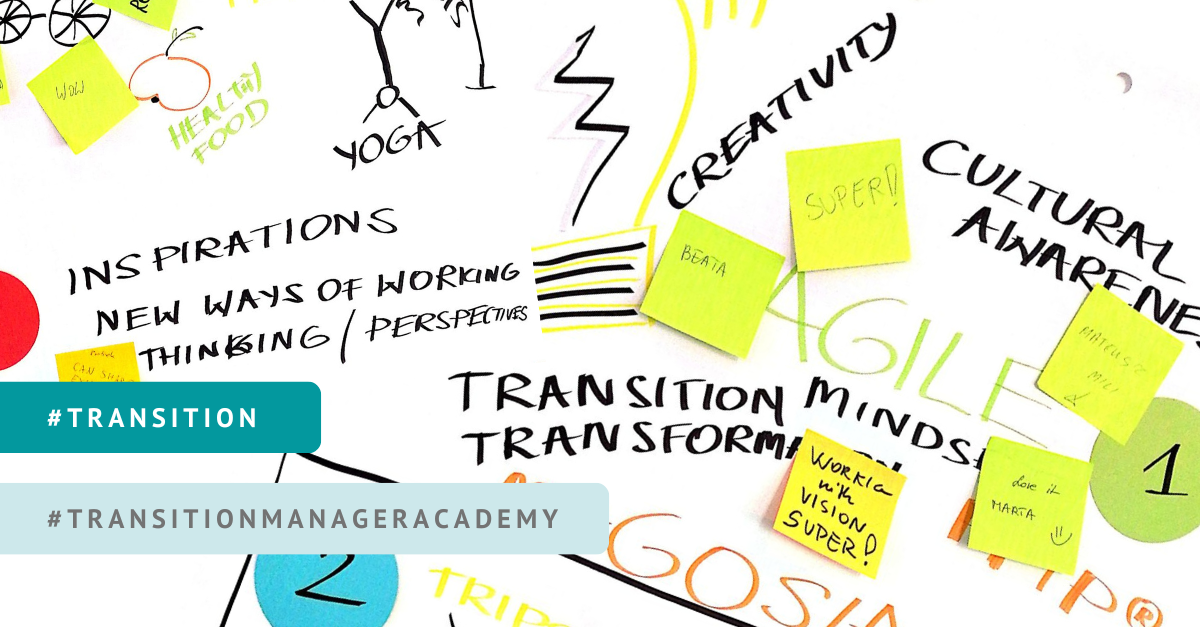 Transition Tranzycja Transition Management Academy TMA