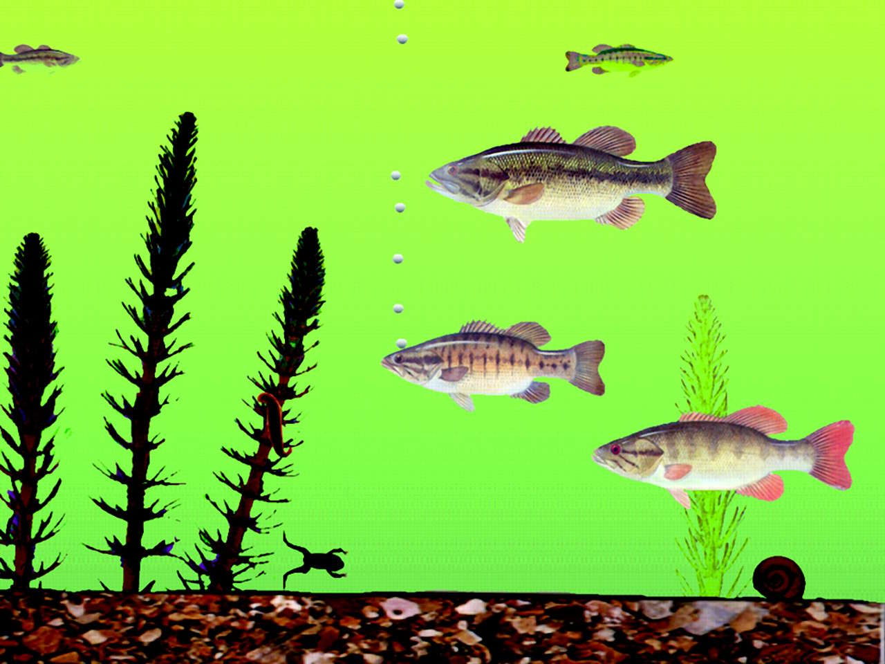 Kadr z animowanego filmu R.Nisbetta i T. Masudy