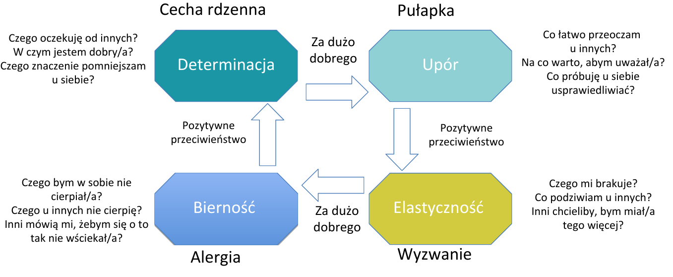 Kwadrant Ofmana, determinacja, AgilePMO